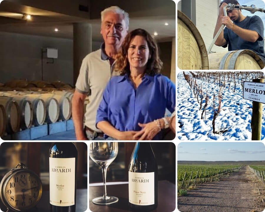 Vinhos Premium da Familia Aicardi